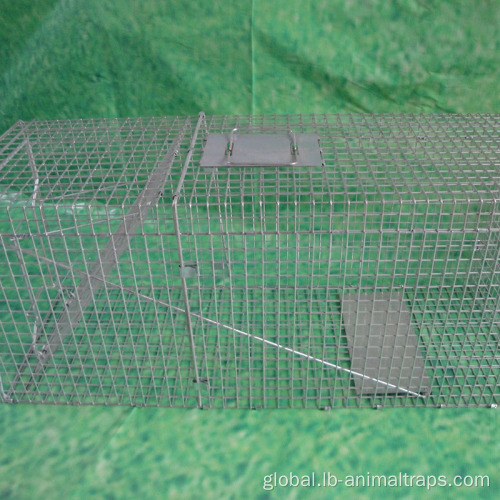 Cage Rabbit Cage Live Animal Trap Cage Rabbit Cage Racoon Cage Factory
